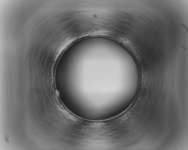 X0000101181184200807071238