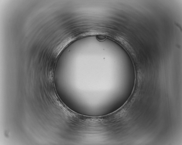 X0000101181185200807071238