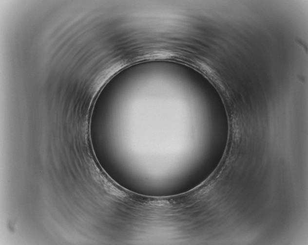 X0000101181186200807071238