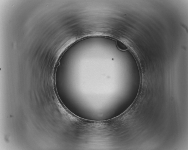 X0000101181189200807071238