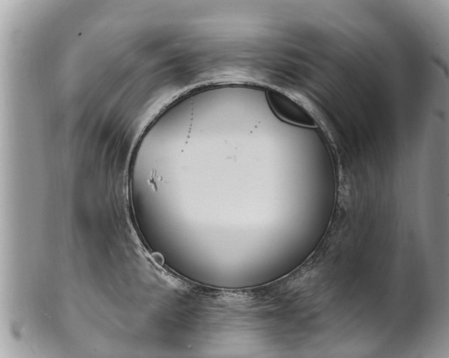 X0000101181191200807071238