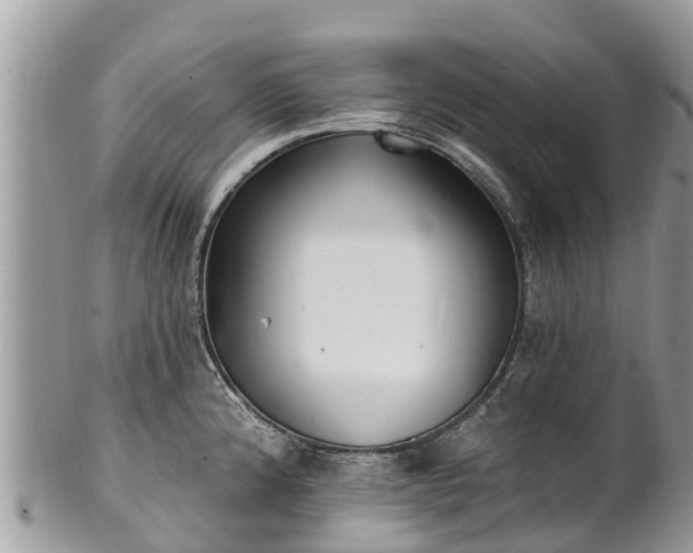 X0000101181192200807071238