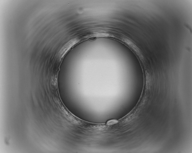 X0000101181193200807071238