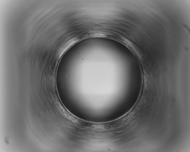 X0000101181194200807071238