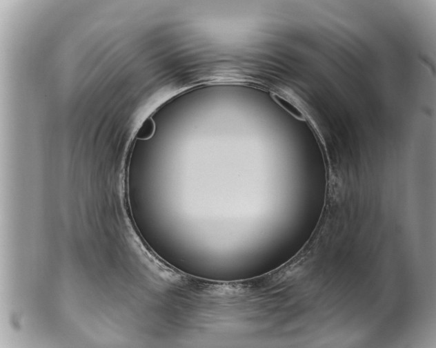 X0000101181195200807071238