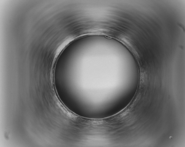 X0000101181196200807071238