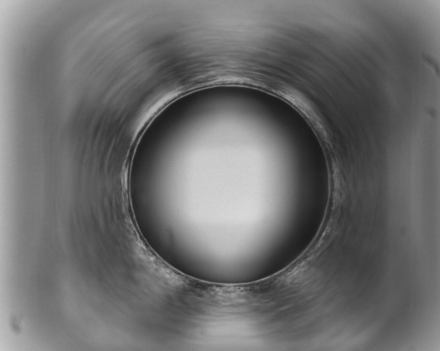 X0000101181198200807071238