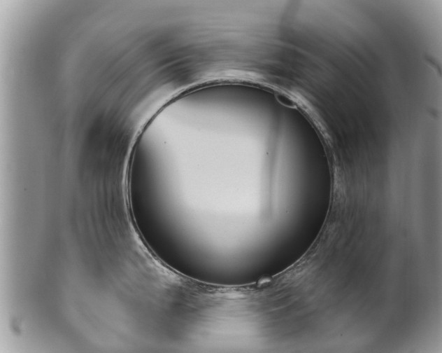 X0000101181199200807071238