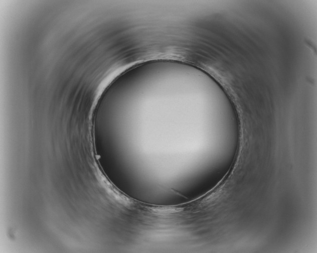 X0000101181200200807071238