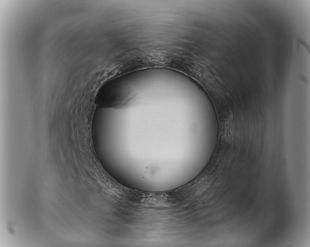 X0000101181201200807071237