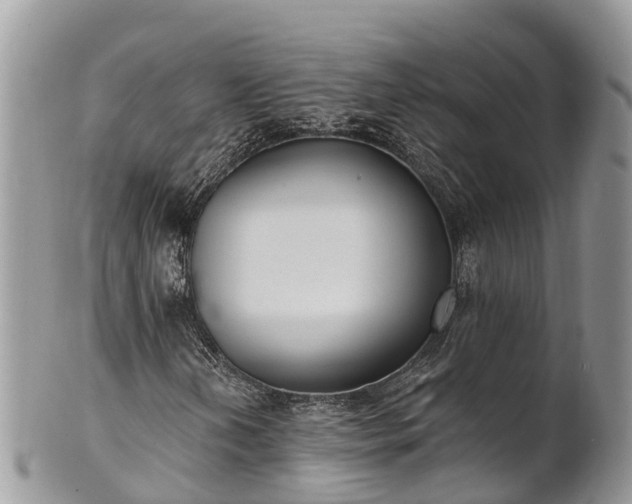 X0000101181202200807071237