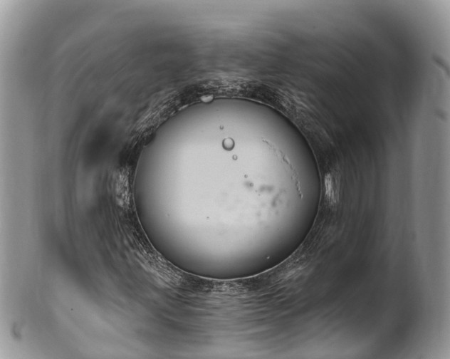 X0000101181203200807071237