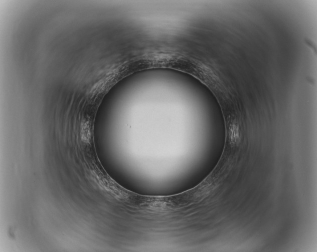 X0000101181204200807071237