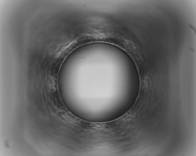 X0000101181205200807071237