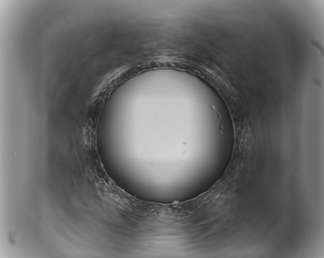 X0000101181207200807071237
