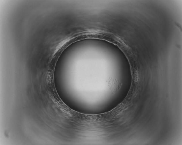 X0000101181208200807071237