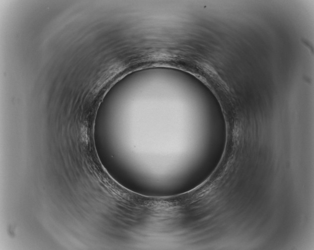 X0000101181209200807071237