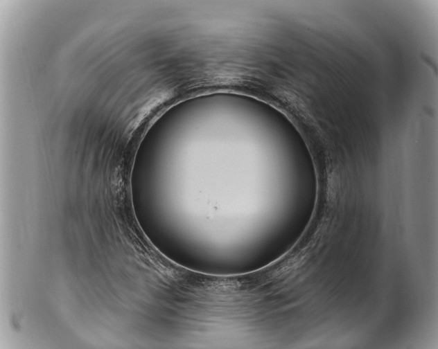 X0000101181210200807071237