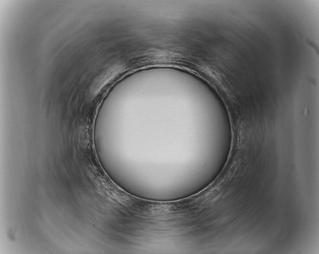 X0000101181211200807071237