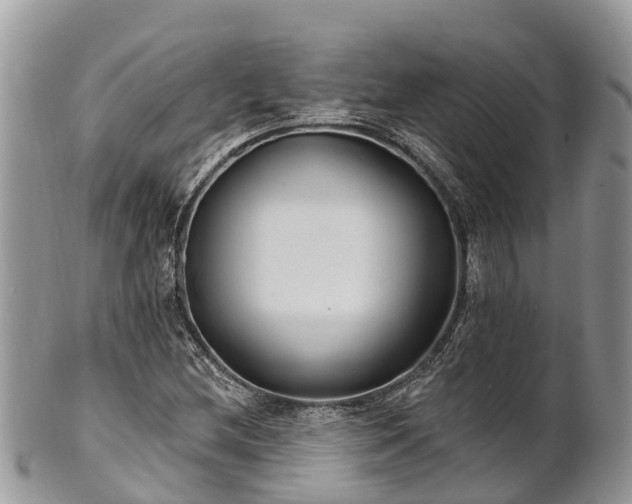 X0000101181212200807071237