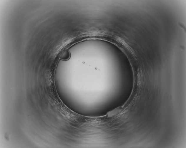 X0000101181213200807071237