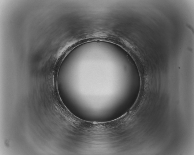 X0000101181214200807071237