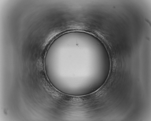 X0000101181215200807071237