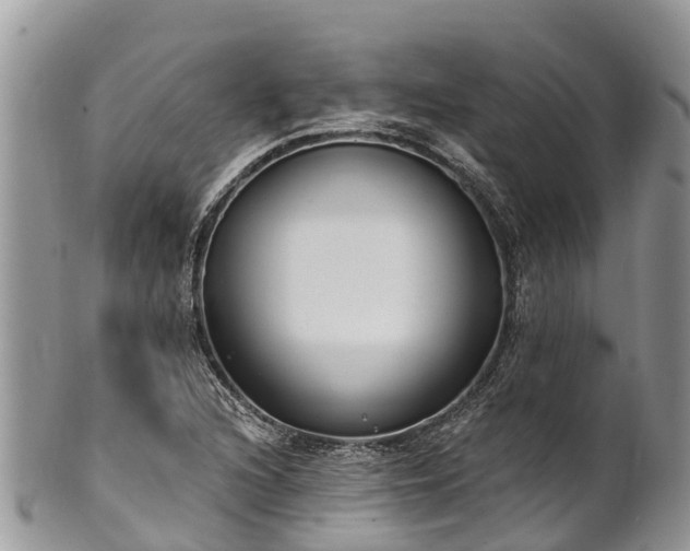 X0000101181216200807071237