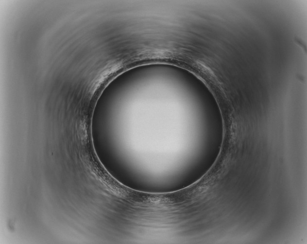 X0000101181218200807071237