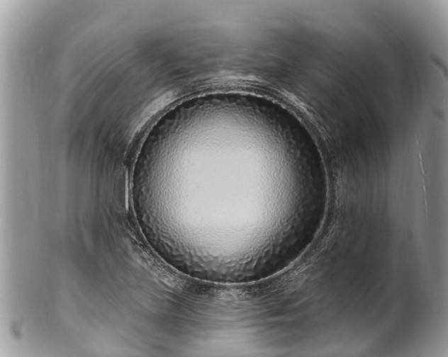 X0000101181219200807071237