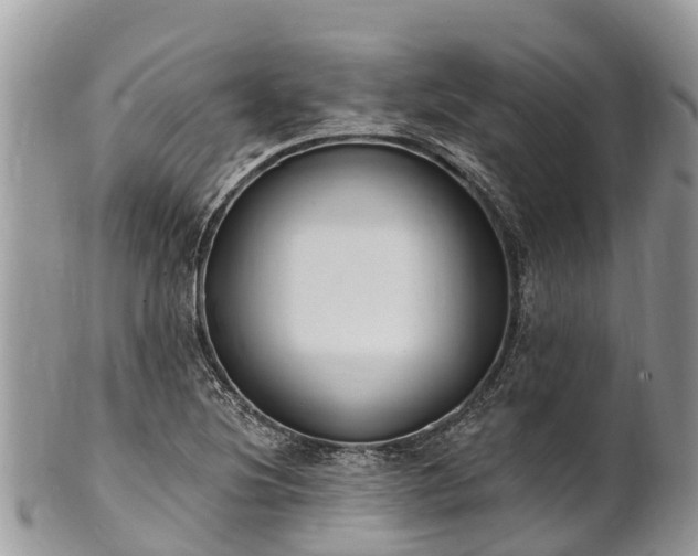 X0000101181220200807071237