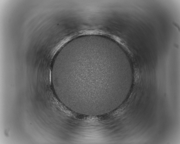 X0000101181221200807071237