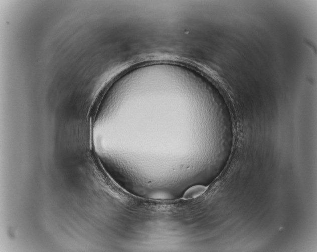 X0000101181223200807071237