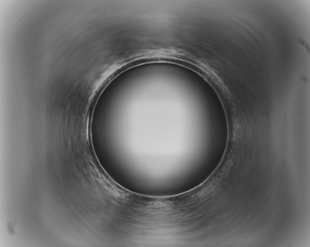 X0000101181224200807071237