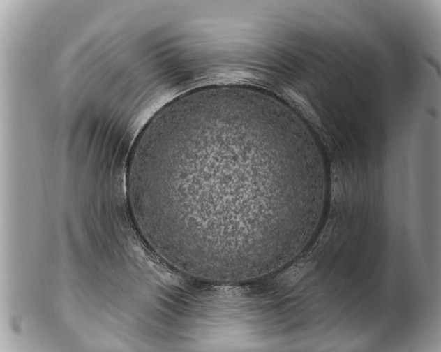 X0000101181226200807071237