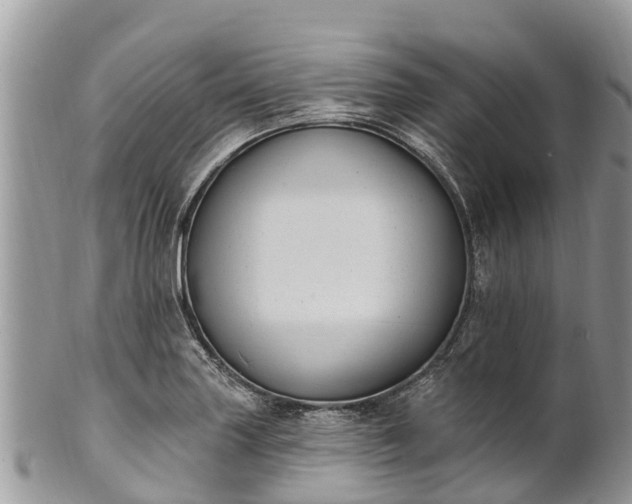 X0000101181227200807071237