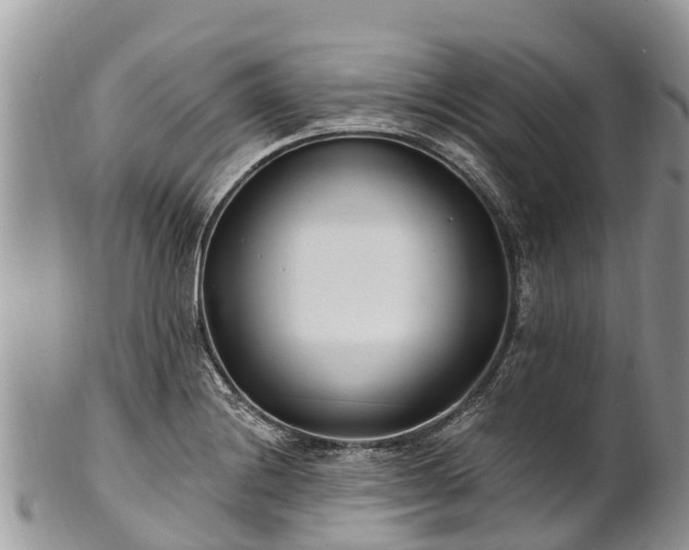 X0000101181228200807071237