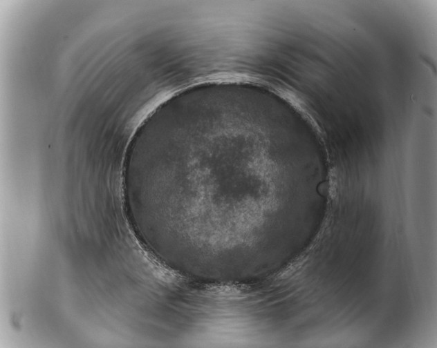 X0000101181229200807071237