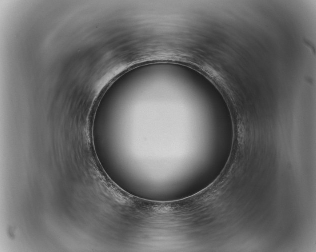 X0000101181230200807071237