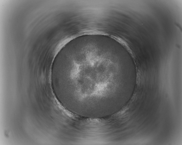 X0000101181231200807071237