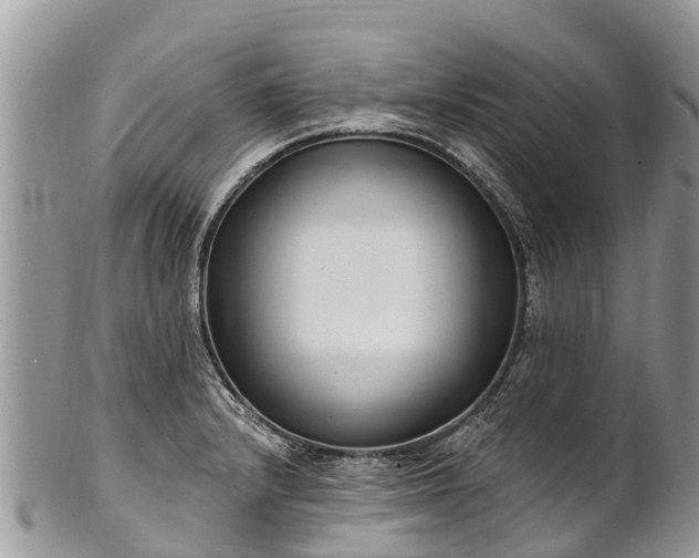X0000101181232200807071237