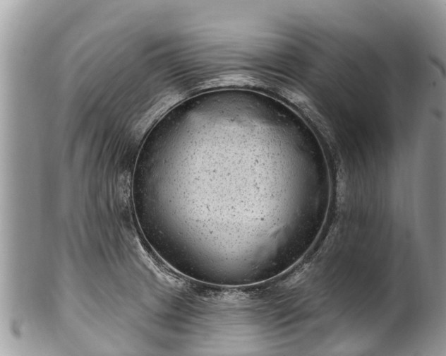 X0000101181233200807071237