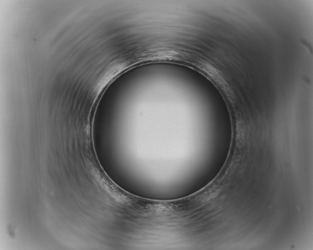 X0000101181234200807071237