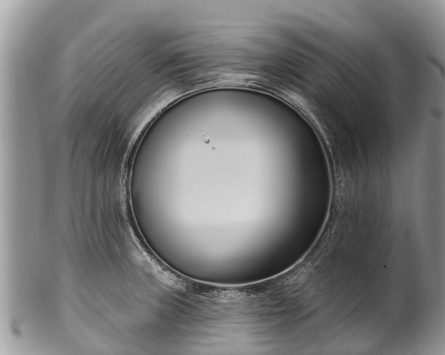 X0000101181235200807071237