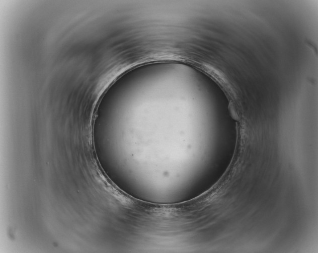 X0000101181236200807071237