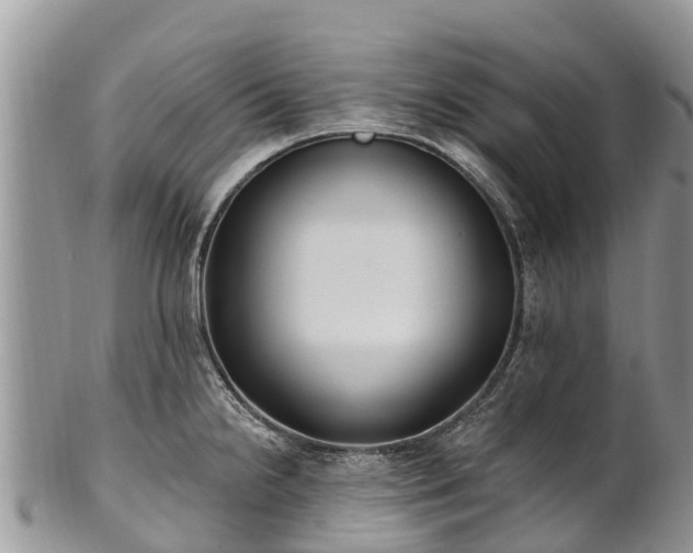 X0000101181238200807071237