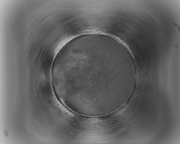 X0000101181239200807071237