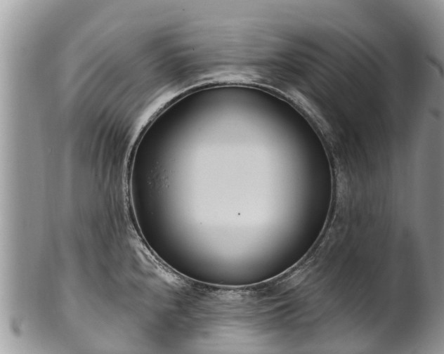X0000101181240200807071237