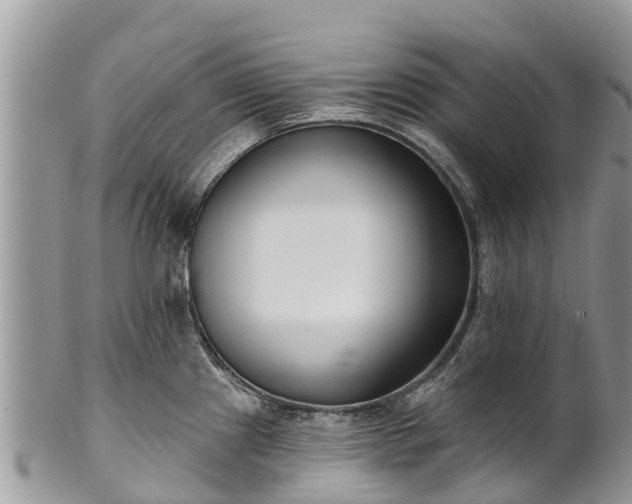 X0000101181241200807071237