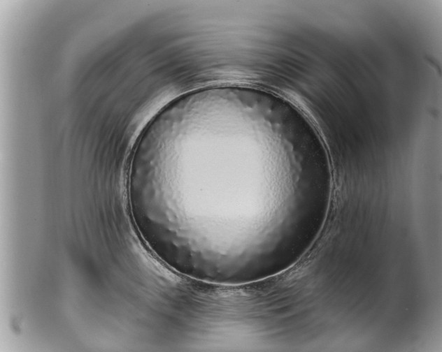 X0000101181243200807071237
